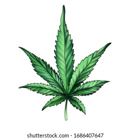 大麻草图片 库存照片和矢量图 Shutterstock