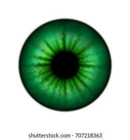 Green Human Pupil Without Glare Isolated Stock Illustration 707218363 ...