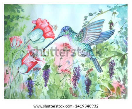 green Hummingbird on a background of tropical, watercolor, bird, painting, spray,