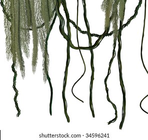 Green jungle vines on a white background