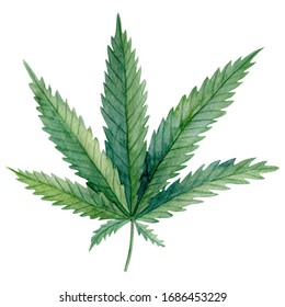 Weed Drawing Images Stock Photos Vectors Shutterstock