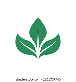 Abstract Green Color Eco Logo Design Stock Vector (Royalty Free ...