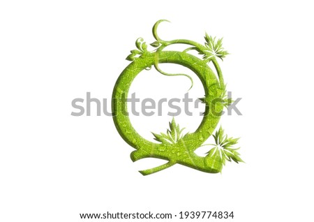 Similar – Green wreath with flowers and plants on white