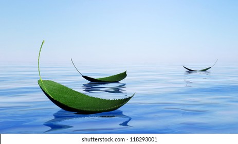 Green Leaves Floating On The Water