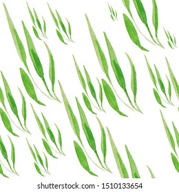 Green leaves on a white background. watercolor illustration, seamless pattern - Shutterstock ID 1510133654