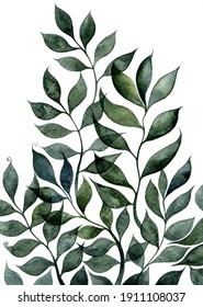 Green leaves watercolor illustration. Hand painted element for your design