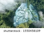 Green lungs of planet Earth. 3d rendering of a clean lake in a shape of lungs in the middle of  virgin forest. Concept of nature and rainforest protection, nature breathing and natural co2 reduction.