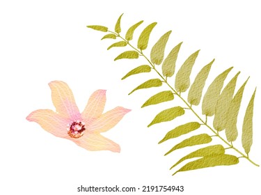 Green Palm Leaf And Pink Vanilla Flower Watercolor Hand Drawn Illustration.