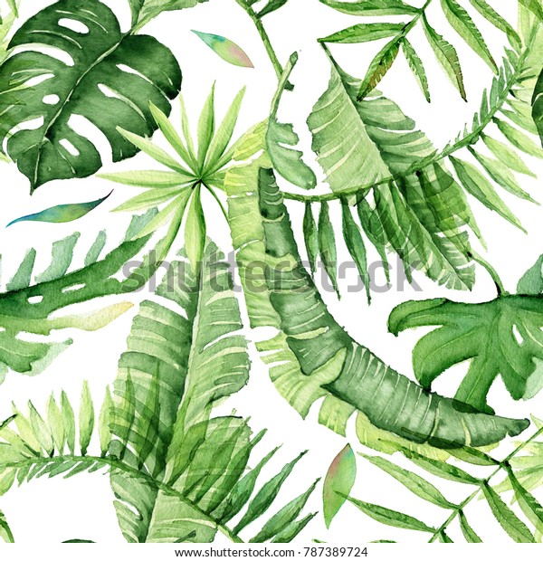 白い背景に緑のヤシの葉 熱帯の水のカラーイラスト ジャングルの葉 のイラスト素材