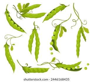 Green pea pods. Vegetable icon set. Element for packaging and menu design. Natural green healthy eco products. illustration - Powered by Shutterstock