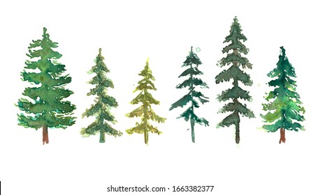 Green pine trees watercolor set in white background. Fir trees silhouettes and splashes. Watercolor abstract woodland