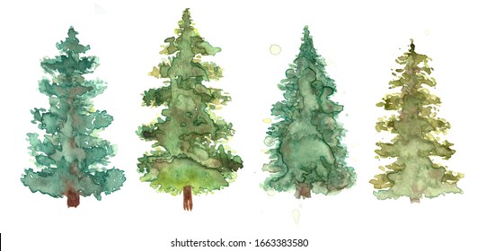 Green pine trees watercolor set in white background. Fir trees silhouettes and splashes background. Watercolor abstract woodland