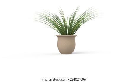 Green Plant In Brown Vase Isolated On White