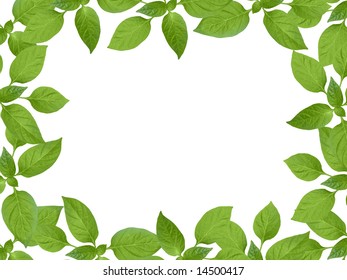 Green Plant Frame Natural Border Stock Illustration 14500417 | Shutterstock