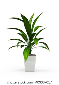 Green Potted Plant Isolated On White Background. 3D Rendering, 3D Illustration.