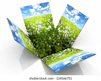 green prairie in the box