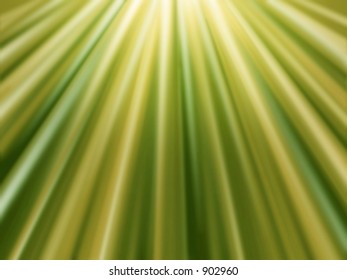 Green Rays 3