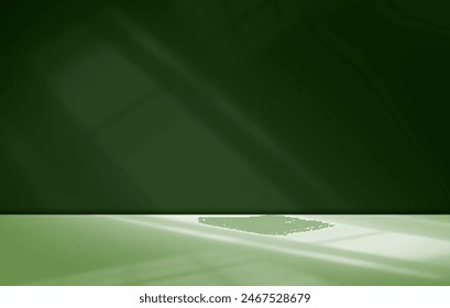 Green Shadow Background Studio Room Photo Empty Gradient Leaf Floor Wall Backdrop Muslin Design Canvas Surface Texture Podium Eco Scene Mockup Product Cosmetic Beauty Organic Display Stand Stage.
