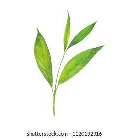 tea leaf clip art