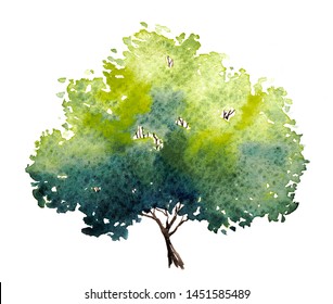 Green tree with leaves. Hand drawn watercolor painting,isolate on white background.Colorful splashing in the paper.It is wet texture with paint brushes stoke.Stylized summer tree. Eco design.