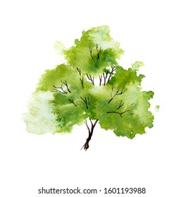 Green Tree With Leaves. Hand Drawn Watercolor Painting,isolate On White Background.Colorful Splashing In The Paper.It Is Wet Texture With Paint Brushes Stoke.Stylized Summer Tree. Eco Design.