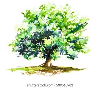 426,628 Tree painting Images, Stock Photos & Vectors | Shutterstock