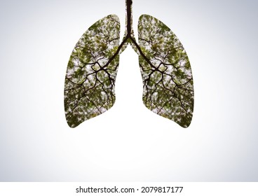 Green tree shaped like human lungs. Nature oxyzen concept by green leaf in lungs shape.
