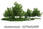 green trees, beautiful small grove with grass and shrubs, isolated on white background, 3d rendering