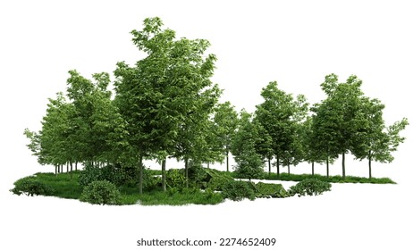 green trees, beautiful small grove with grass and shrubs, isolated on white background, 3d rendering - Powered by Shutterstock