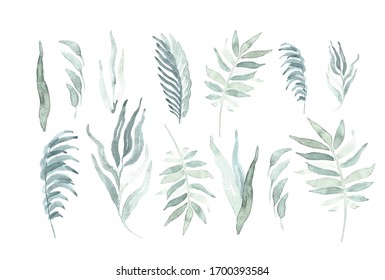 Palm Leaf Drawing Images Stock Photos Vectors Shutterstock