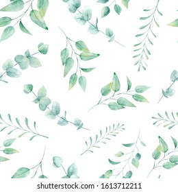 Green twigs with leaves hand drawn seamless pattern illustration. Trendy plant watercolor drawing backdrop. Botanical exotic texture. Eucalyptus and fern. Wallpaper, wrapping paper design