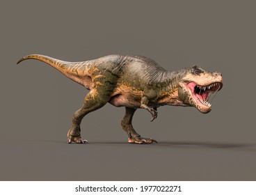 green tyrannosaurus rex on dark background side view, 3d illustration