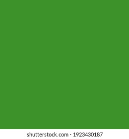 Greenscreen Greenbackground Square Ratio Background