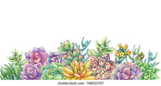 Greeting card, border, frame with leaves, succulent, cactus. Succulents collection. Watercolor hand drawn painting illustration isolated on white background.