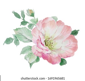 Colorful Flowers Leaves Flowers Art Design Stock Illustration 730527292 ...