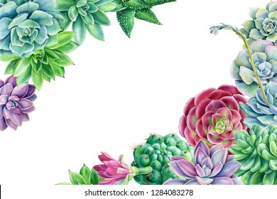 greeting card with place for text from multicolored succulents on an isolated white background, watercolor illustration, botanical painting
