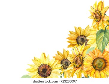 Greeting card with space for text, autumn composition of sunflowers, watercolor botanical illustration, hand drawing