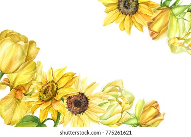 Watercolor Sunflower Background Images Stock Photos Vectors