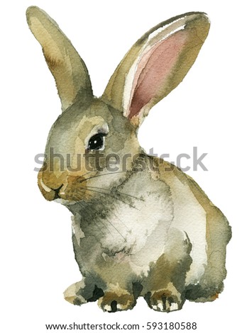 Grey Brown Spring Rabbit Bunny Hare Watercolor  Isolated on White Background