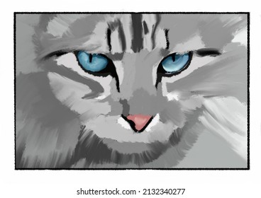 Grey Cat, Blue Eyes Drawing 