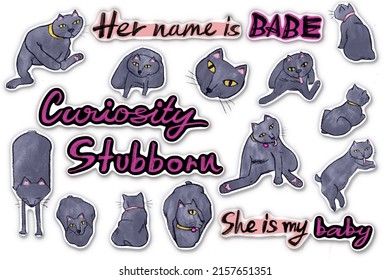 Grey Cat Cartoon Sticker  With White Background