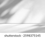 Grey shadow background, black abstract studio room loft stage minimal podium for presentation product mockup interior backdrop dark pastel wall floor cement bright gradient pattern