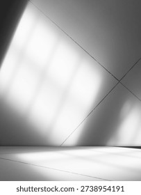 Grey wall shadow background kitchen floor white abstract studio concrete table white texture light texture mockup product marble room display plant cement minimal shelft bar leaves backdrop