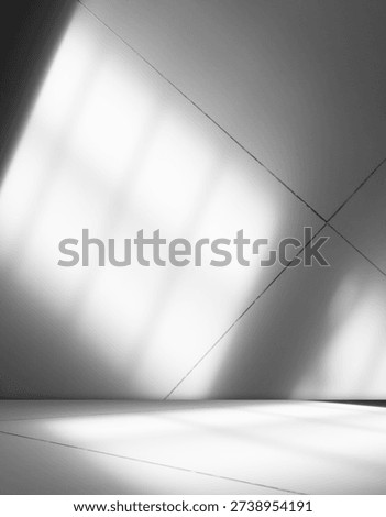 Grey wall shadow background kitchen floor white abstract studio concrete table white texture light texture mockup product marble room display plant cement minimal shelft bar leaves backdrop