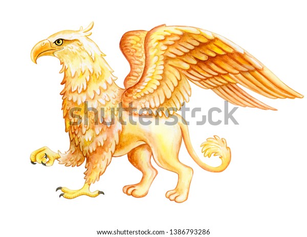 グリフォン 白い背景に神話動物 素晴らしい金色のグリフィンのイラスト 宝石デザイン 水の色 イラトス テンプレート 手描き クリップアート 接写 の イラスト素材