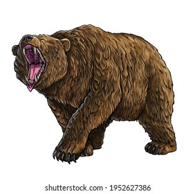 Grizzly Bear, Cave Bear Illustration. Bear Attack Drawing.	