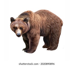 1,984 Alaska bear drawing Images, Stock Photos & Vectors | Shutterstock