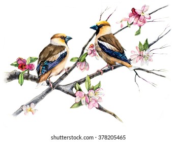 Bird Drawing Images Stock Photos Vectors Shutterstock