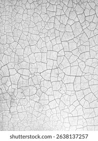 Ground mud crack abstract texture