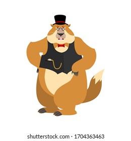 Groundhog Day. Groundhog In Hat  Angry. Woodchuck Evil Emotions Avatar. Marmot Aggressive. 